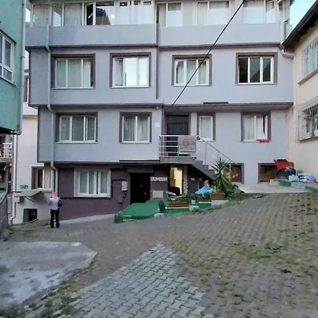 شقة فندقية Artemis Apart&otel