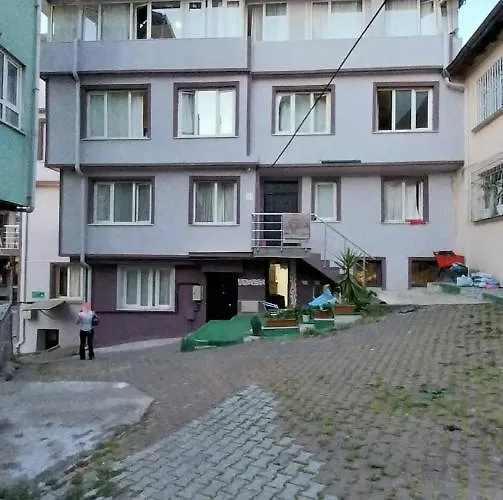 Aparthotel Artemis Apart&otel